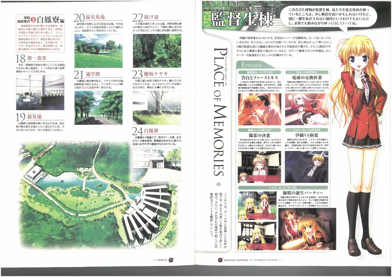 FORTUNE ARTERIAL PERFECT VISUAL BOOK 图片编号 53