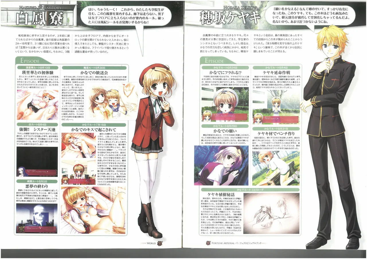 FORTUNE ARTERIAL PERFECT VISUAL BOOK 图片编号 55