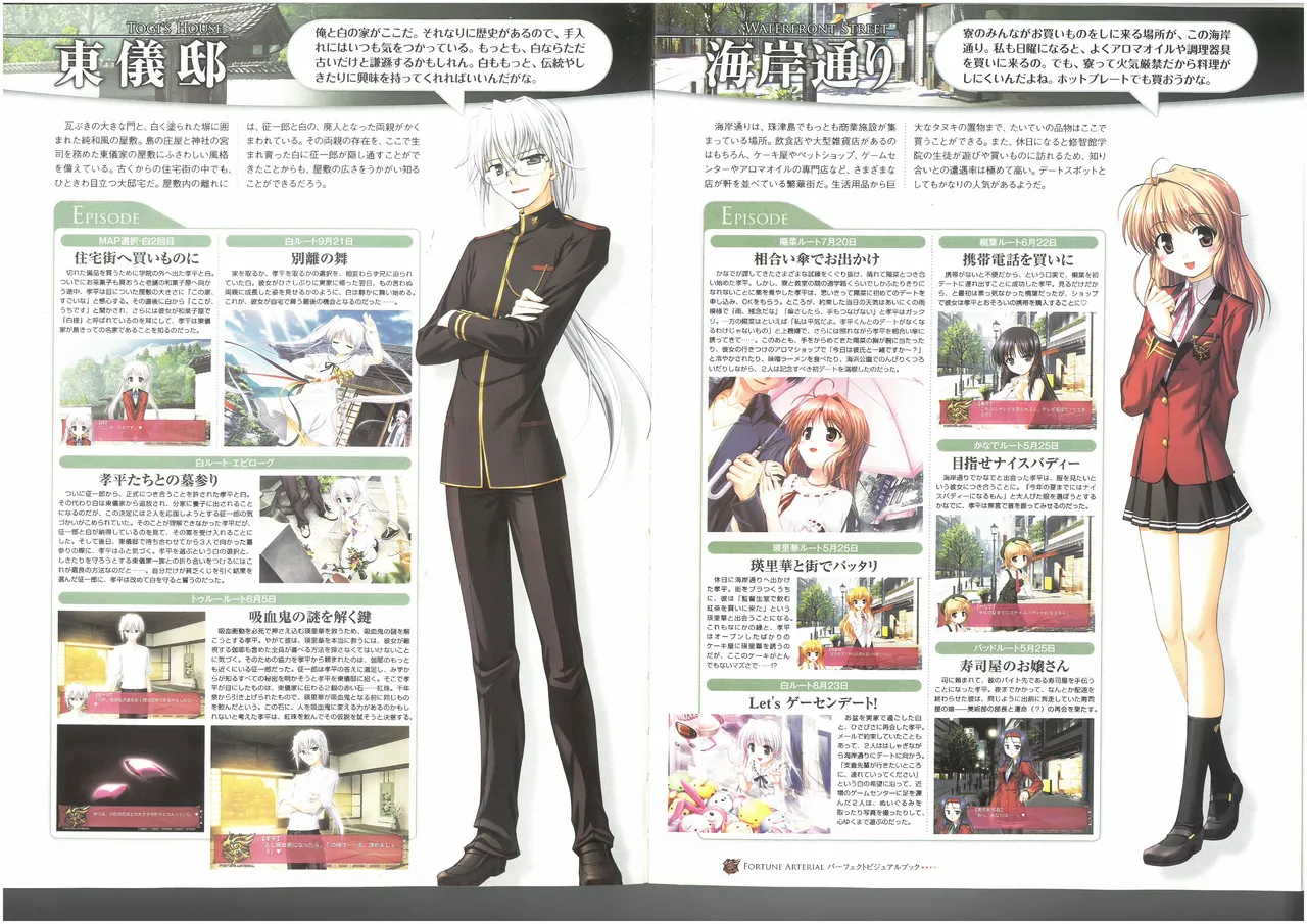 FORTUNE ARTERIAL PERFECT VISUAL BOOK 图片编号 56