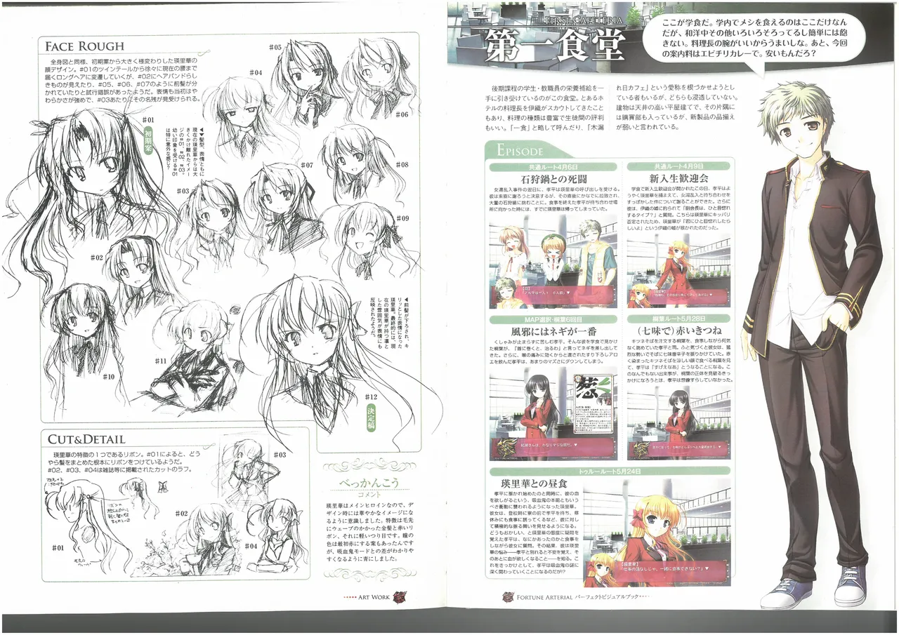 FORTUNE ARTERIAL PERFECT VISUAL BOOK 图片编号 58
