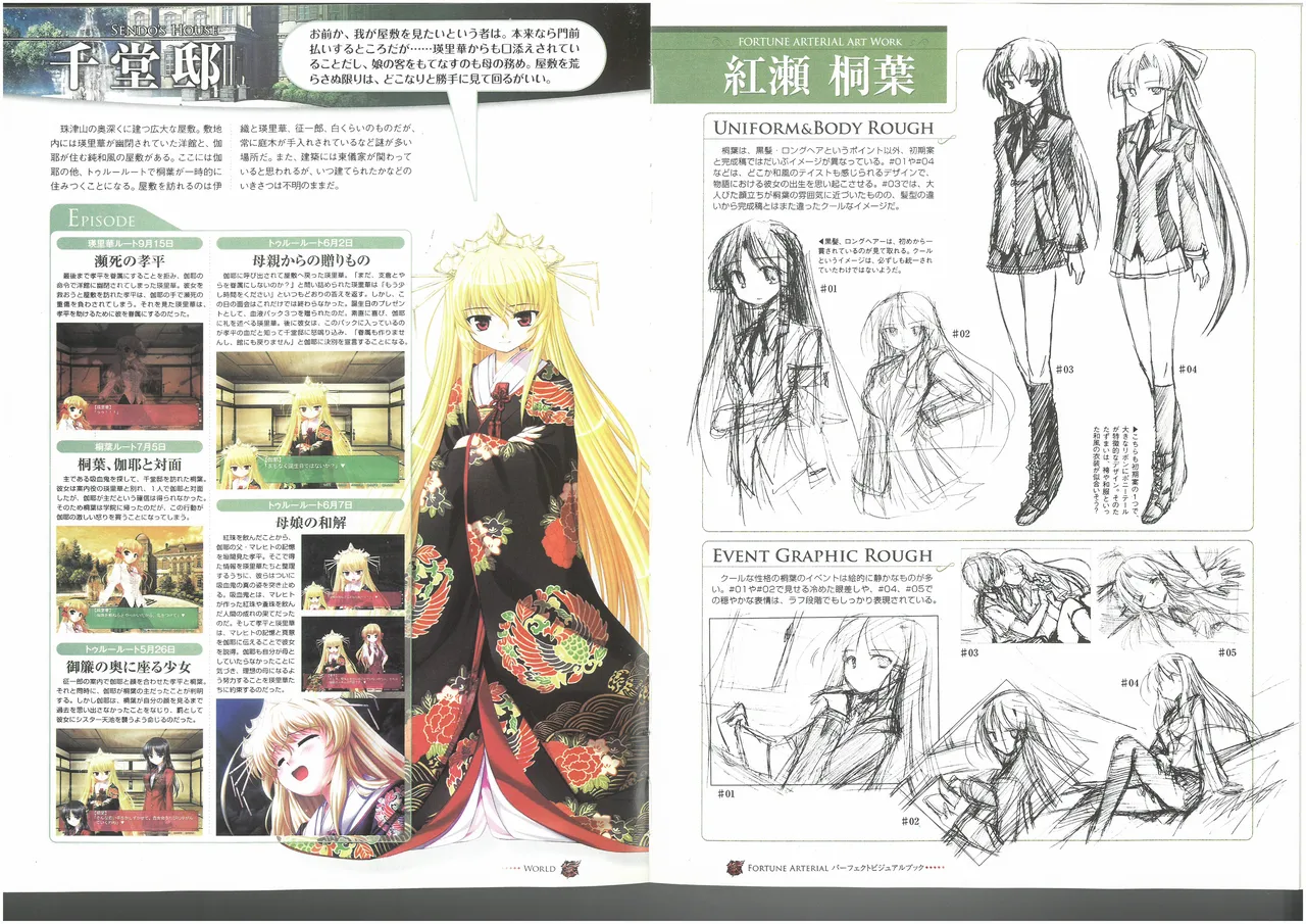 FORTUNE ARTERIAL PERFECT VISUAL BOOK 图片编号 59