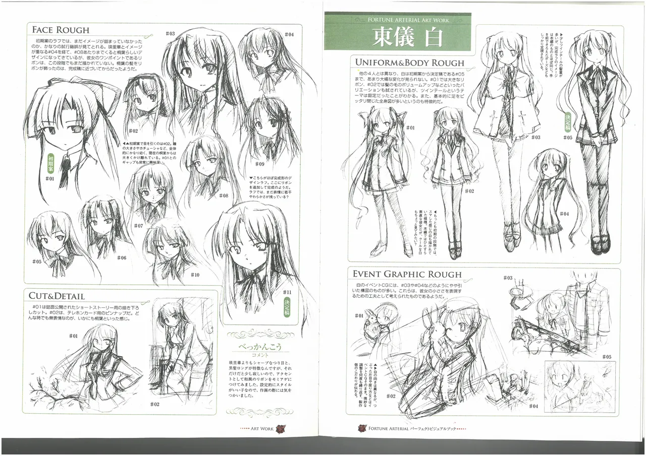 FORTUNE ARTERIAL PERFECT VISUAL BOOK 图片编号 60