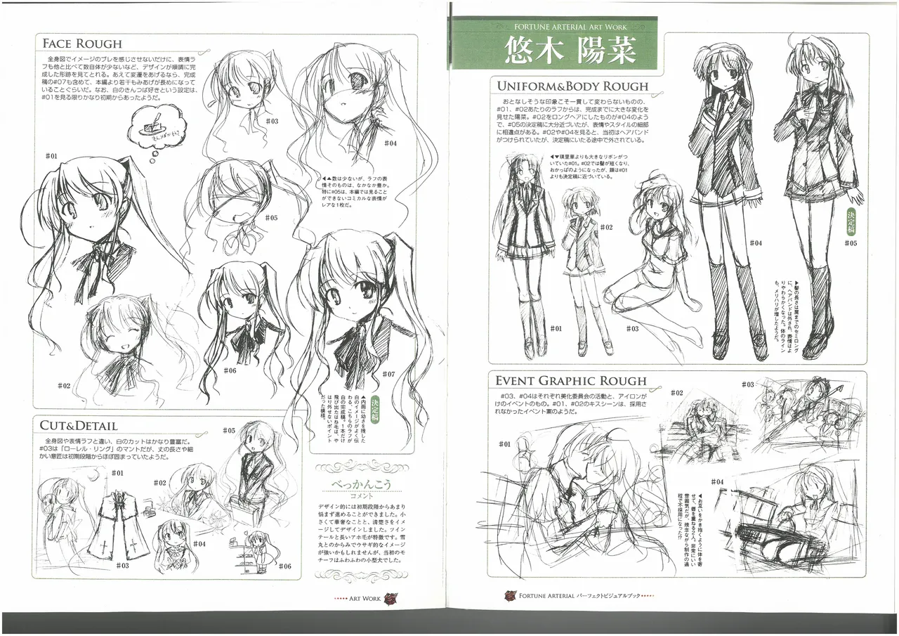 FORTUNE ARTERIAL PERFECT VISUAL BOOK 图片编号 61