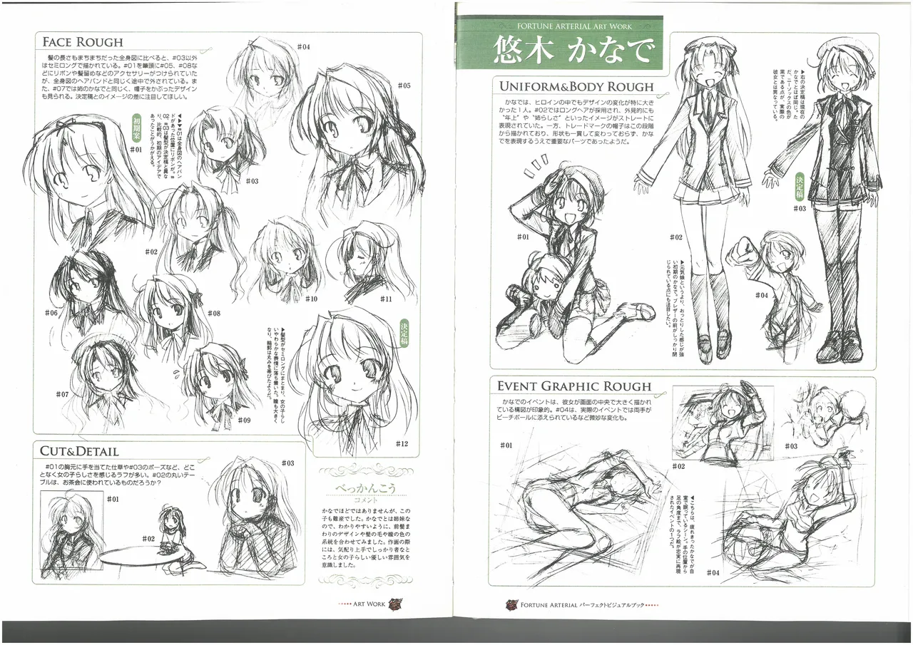 FORTUNE ARTERIAL PERFECT VISUAL BOOK 图片编号 62