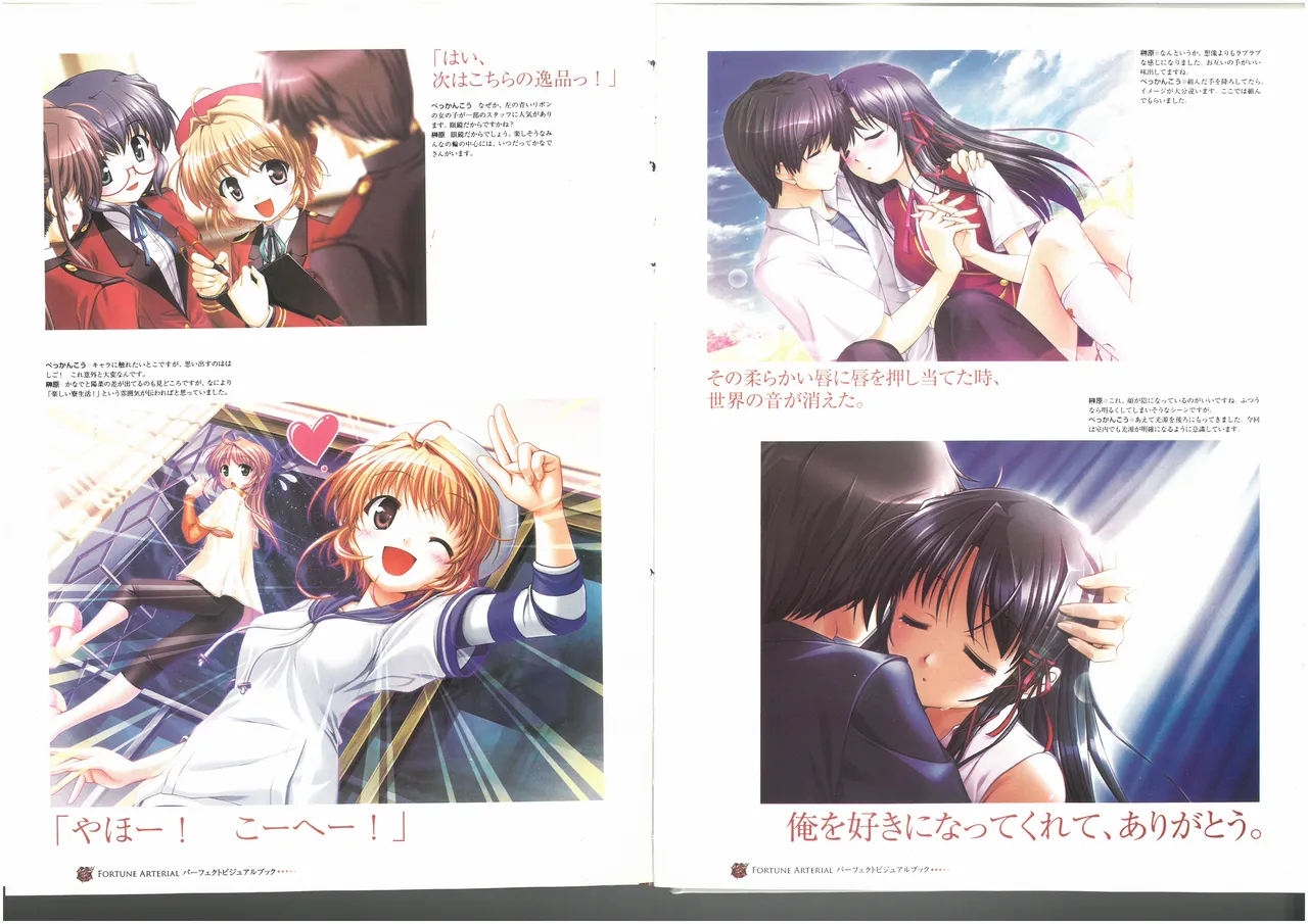 FORTUNE ARTERIAL PERFECT VISUAL BOOK 图片编号 68