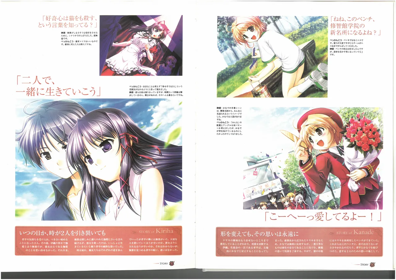 FORTUNE ARTERIAL PERFECT VISUAL BOOK 图片编号 69