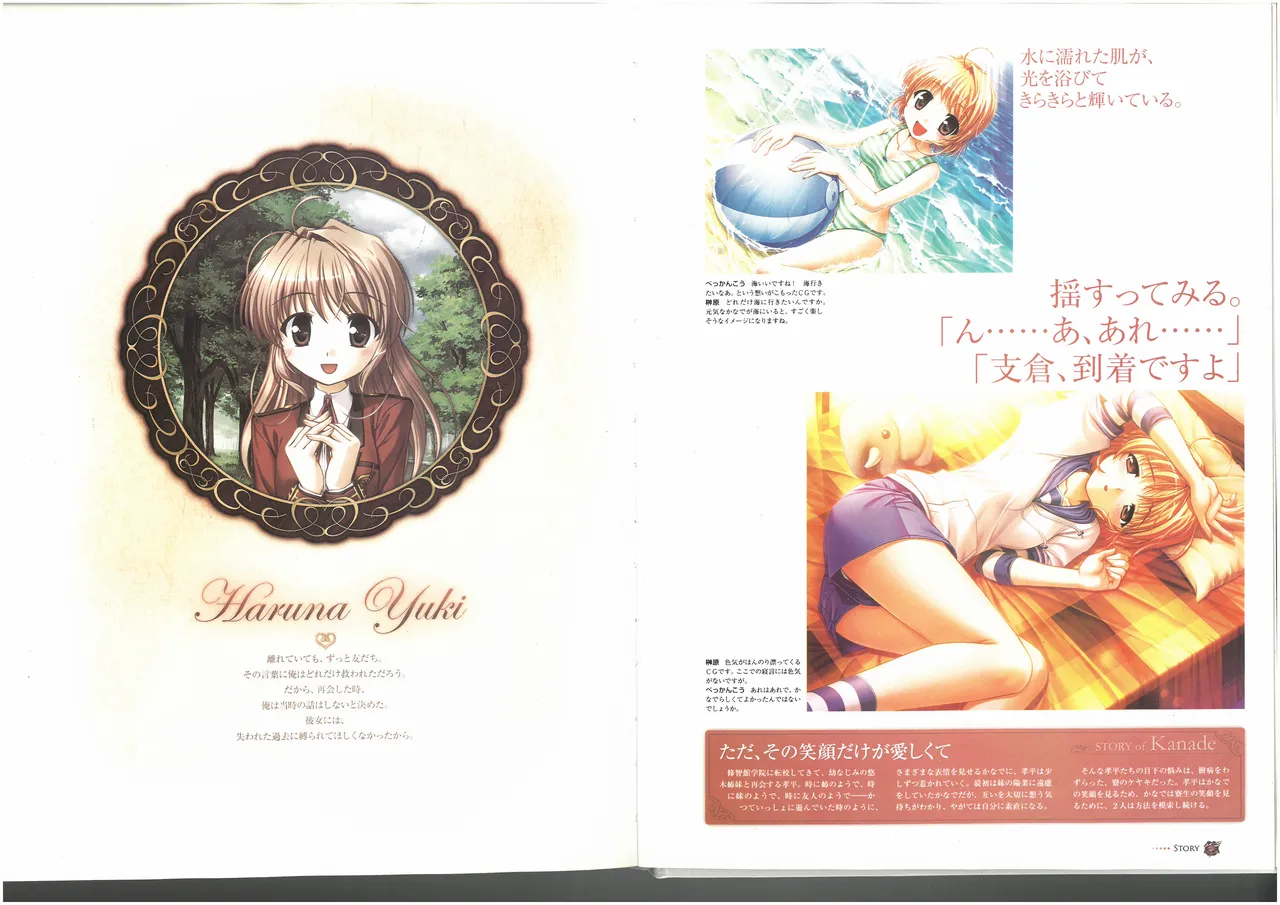 FORTUNE ARTERIAL PERFECT VISUAL BOOK 图片编号 70