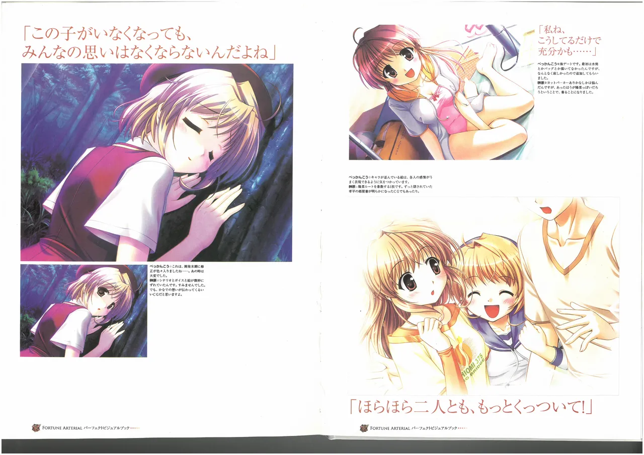 FORTUNE ARTERIAL PERFECT VISUAL BOOK 图片编号 71