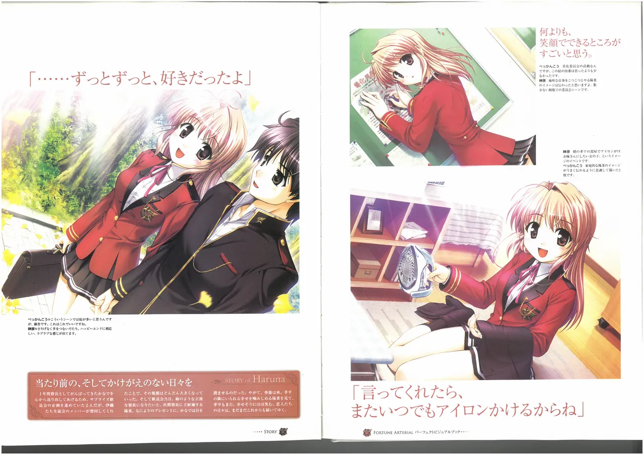 FORTUNE ARTERIAL PERFECT VISUAL BOOK 图片编号 72