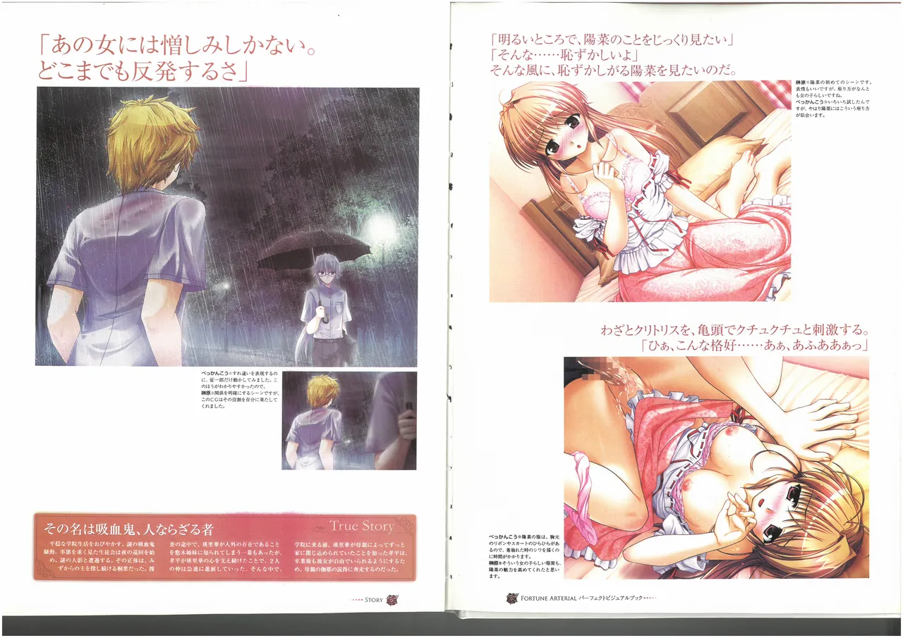 FORTUNE ARTERIAL PERFECT VISUAL BOOK 图片编号 74