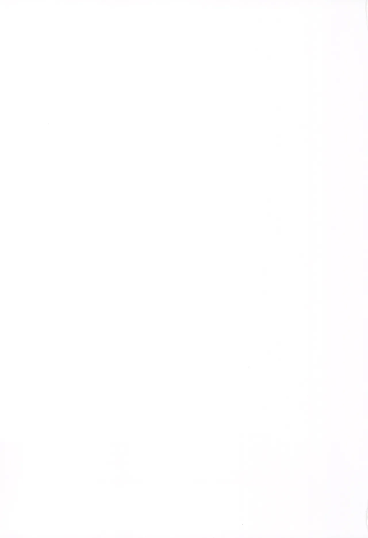 (C107) [Fumituki (Fumituki)] Kyonyuu Majo Biyaku Slime Zuke (Touhou Project) [Chinese] image number 23