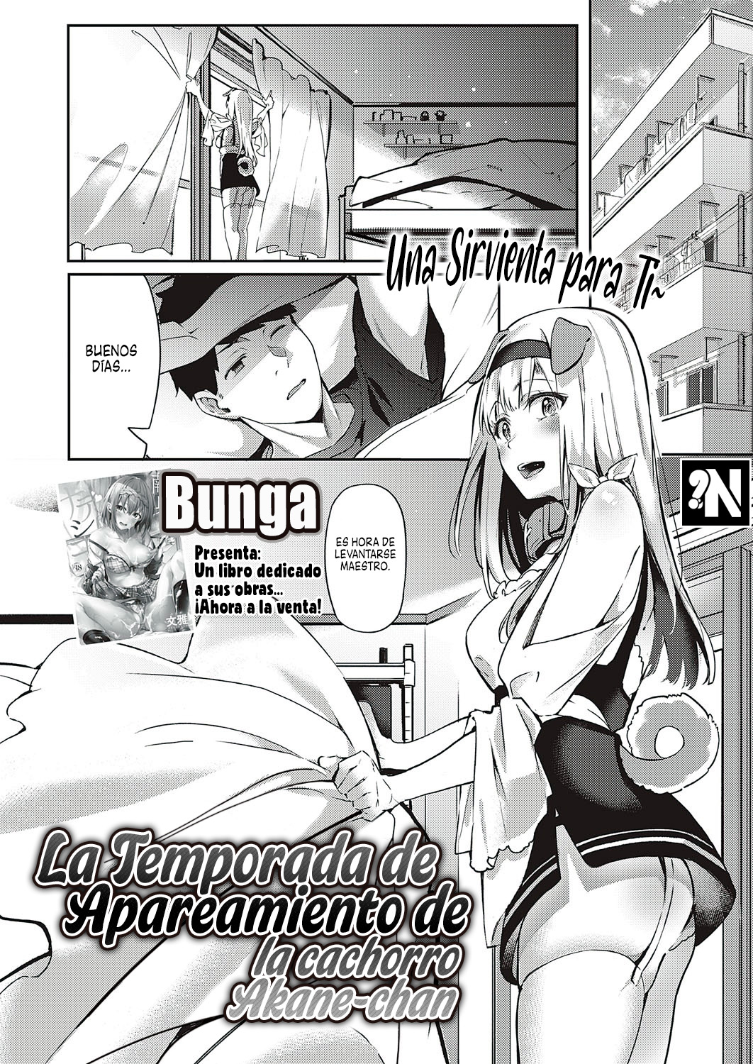 [Bunga] Hatsujou Koinu Akane-chan | La Temporada de Apareamiento de las Cachorro Akane-chan (COMIC ExE 29) [Spanish] [NekoCreme] [Digital] image number 3