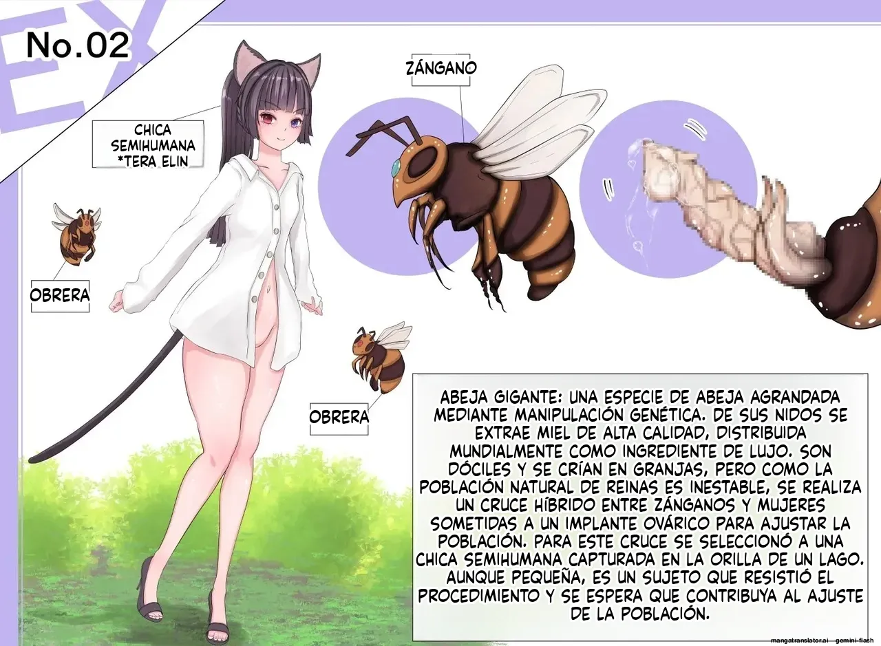 Insect Research Report EX (Spanish) MTL 图片编号 6