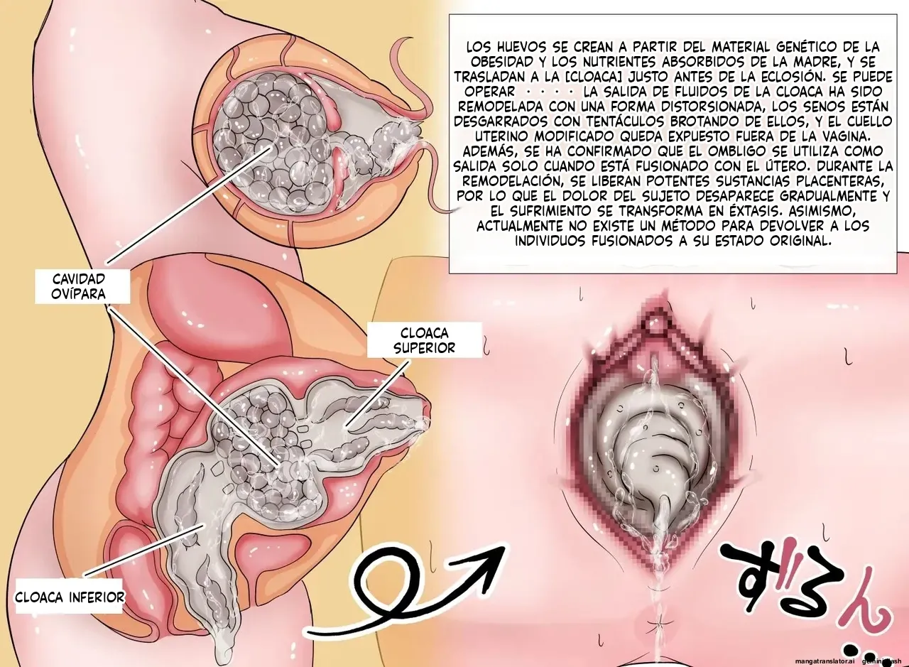 Insect Research Report EX (Spanish) MTL 图片编号 14