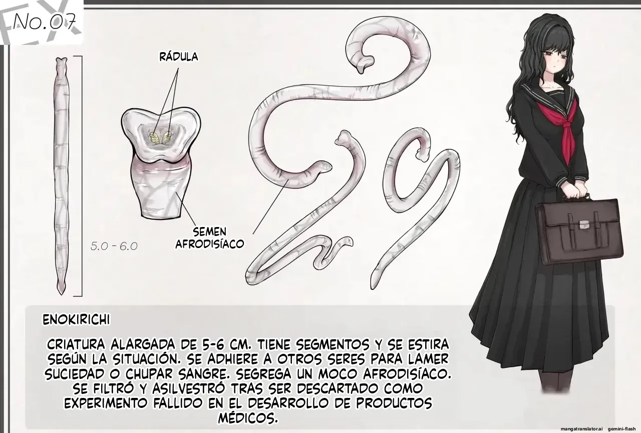 Insect Research Report EX (Spanish) MTL 图片编号 32