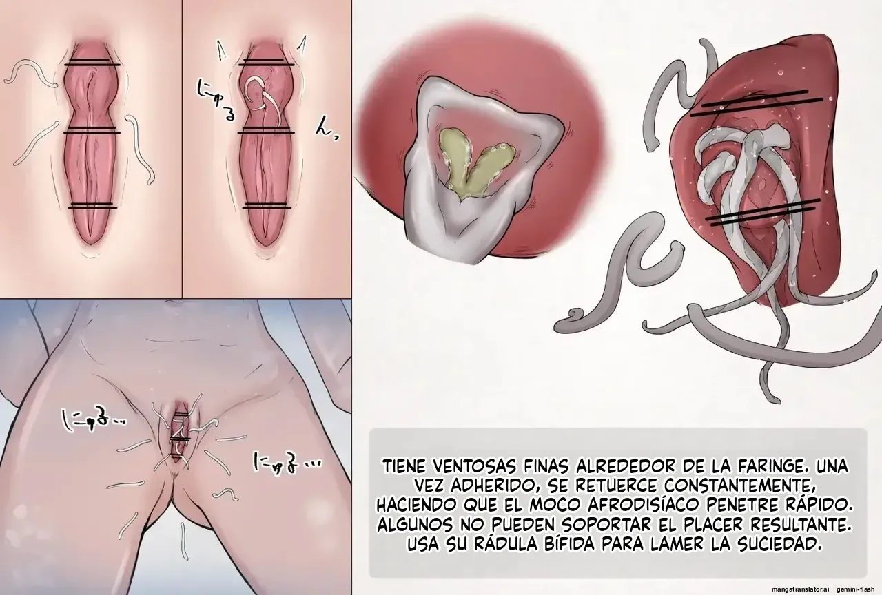 Insect Research Report EX (Spanish) MTL 图片编号 34