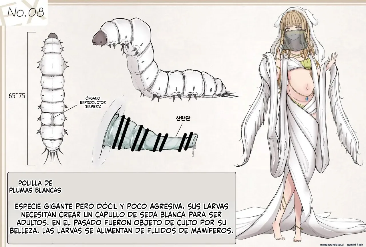 Insect Research Report EX (Spanish) MTL 图片编号 37