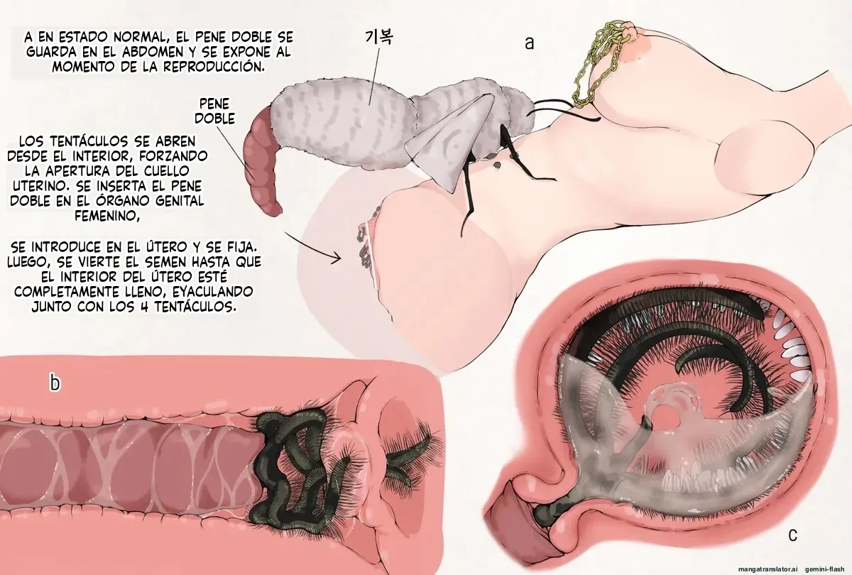 Insect Research Report EX (Spanish) MTL 图片编号 63