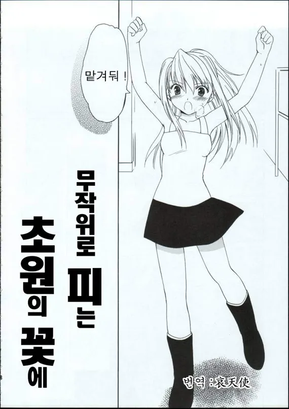 (C65) [Aion (Amou Mari)] Random Ni Saku Nobe No Hana Ni (Full Metal Alchemist) [korean] image number 4
