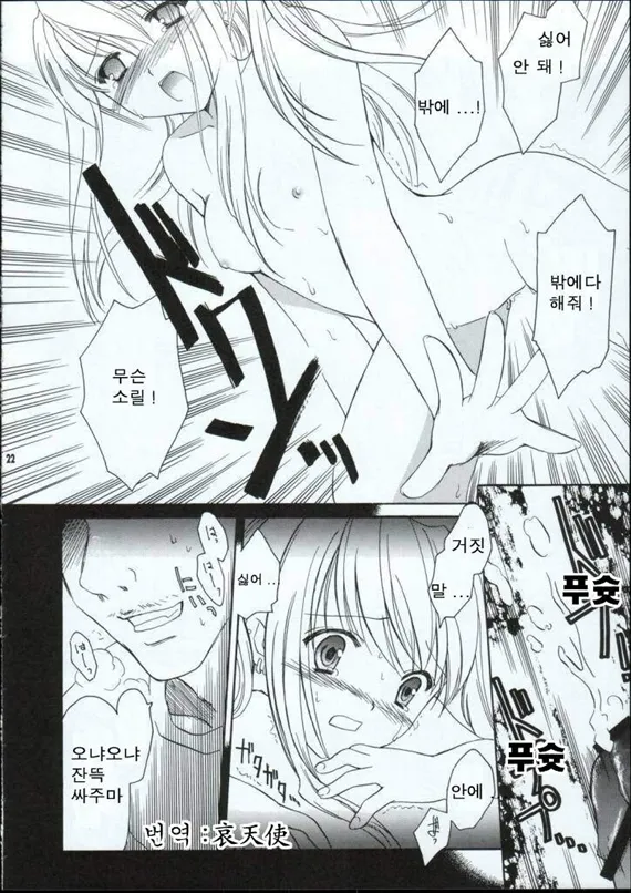 (C65) [Aion (Amou Mari)] Random Ni Saku Nobe No Hana Ni (Full Metal Alchemist) [korean] image number 18