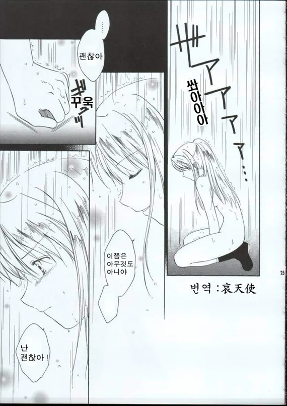 (C65) [Aion (Amou Mari)] Random Ni Saku Nobe No Hana Ni (Full Metal Alchemist) [korean] image number 21