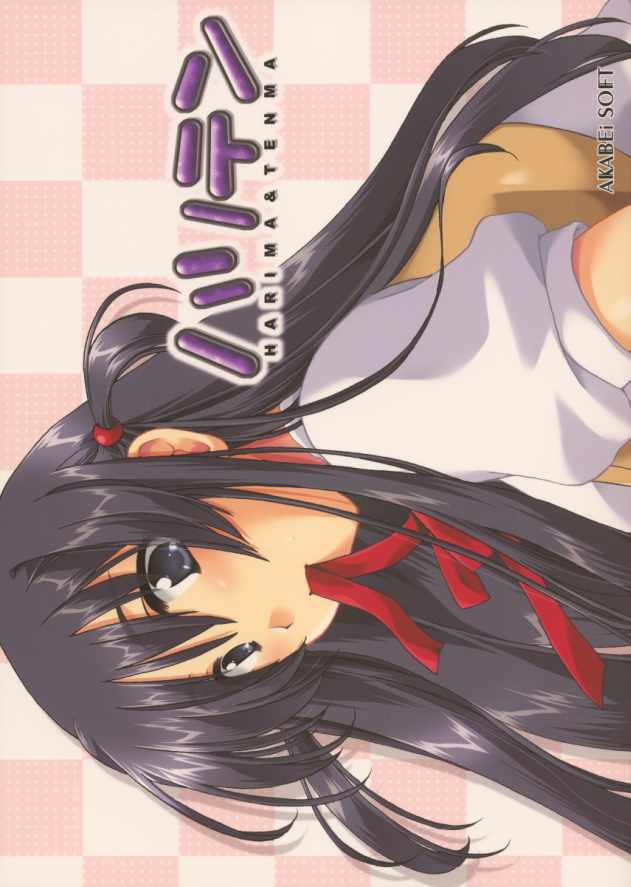 (CR35) [AKABEi SOFT (Alpha)] HariTen - Harima & Tenma (School Rumble) [korean] image number 1