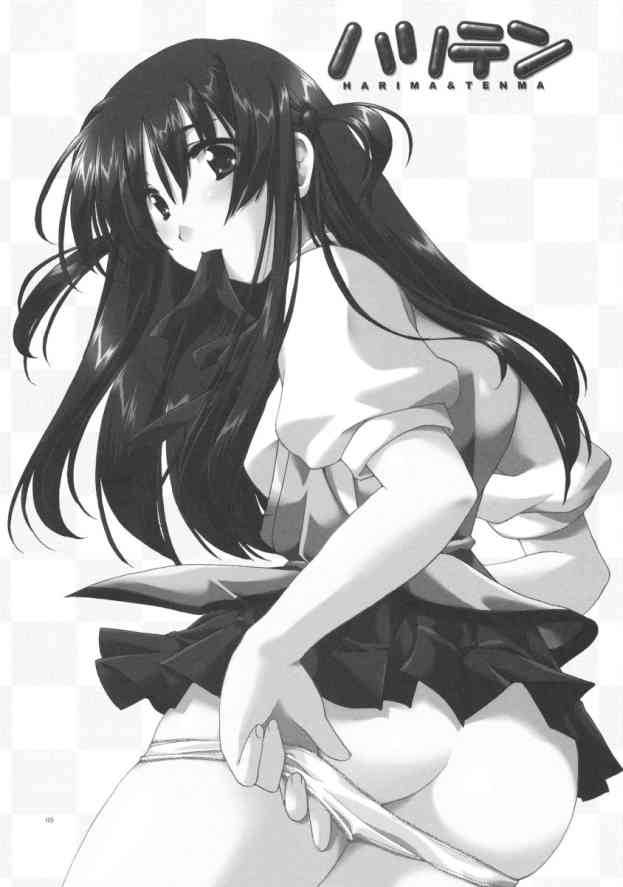 (CR35) [AKABEi SOFT (Alpha)] HariTen - Harima & Tenma (School Rumble) [korean] image number 5