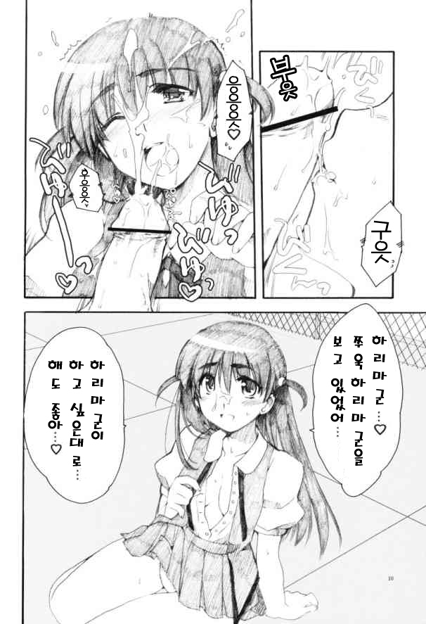 (CR35) [AKABEi SOFT (Alpha)] HariTen - Harima & Tenma (School Rumble) [korean] image number 10