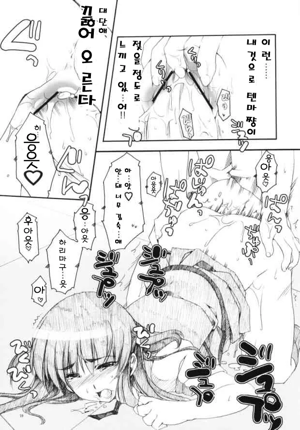 (CR35) [AKABEi SOFT (Alpha)] HariTen - Harima & Tenma (School Rumble) [korean] image number 19