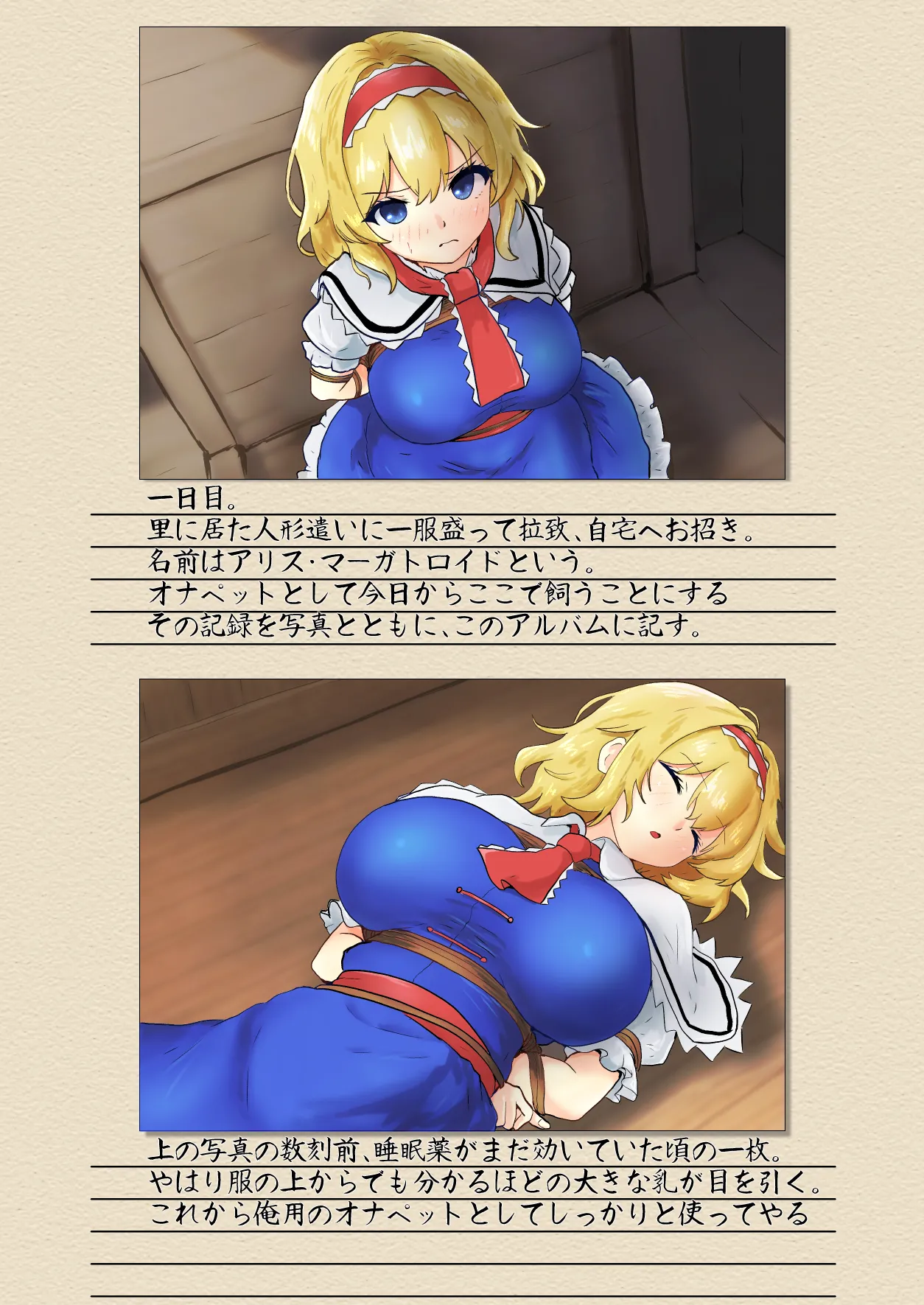 (Kouroumu 21) [Seinaru Idokoro (hinben)] Alice Margatroid Confinement Album (Touhou Project) [Digital] image number 4