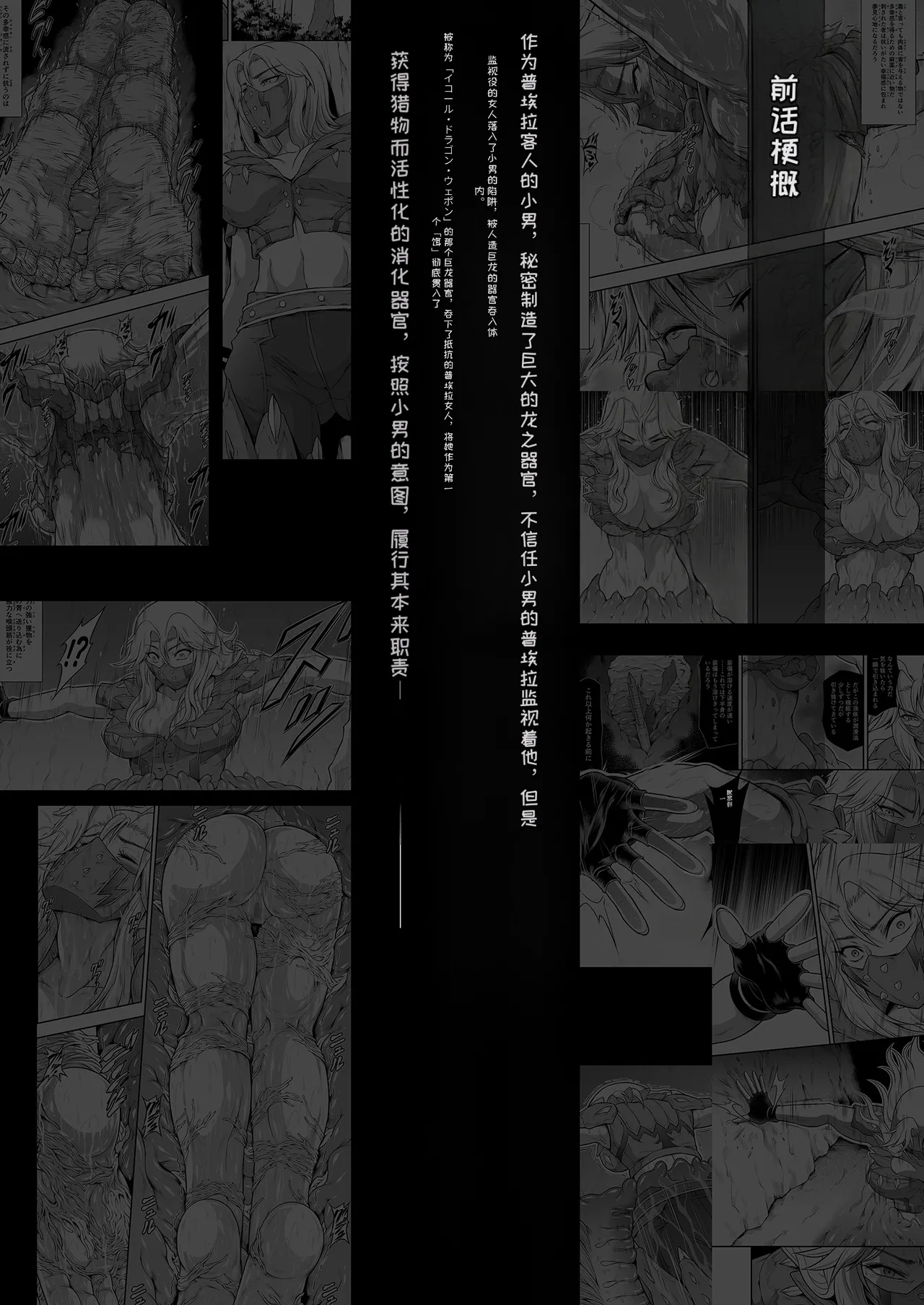 (C106) [Yokohama Junky (Makari Tohru)] Solo Hunter no Seitai WORLD 13 (Monster Hunter) [Chinese] [MTL] numero di immagine  4