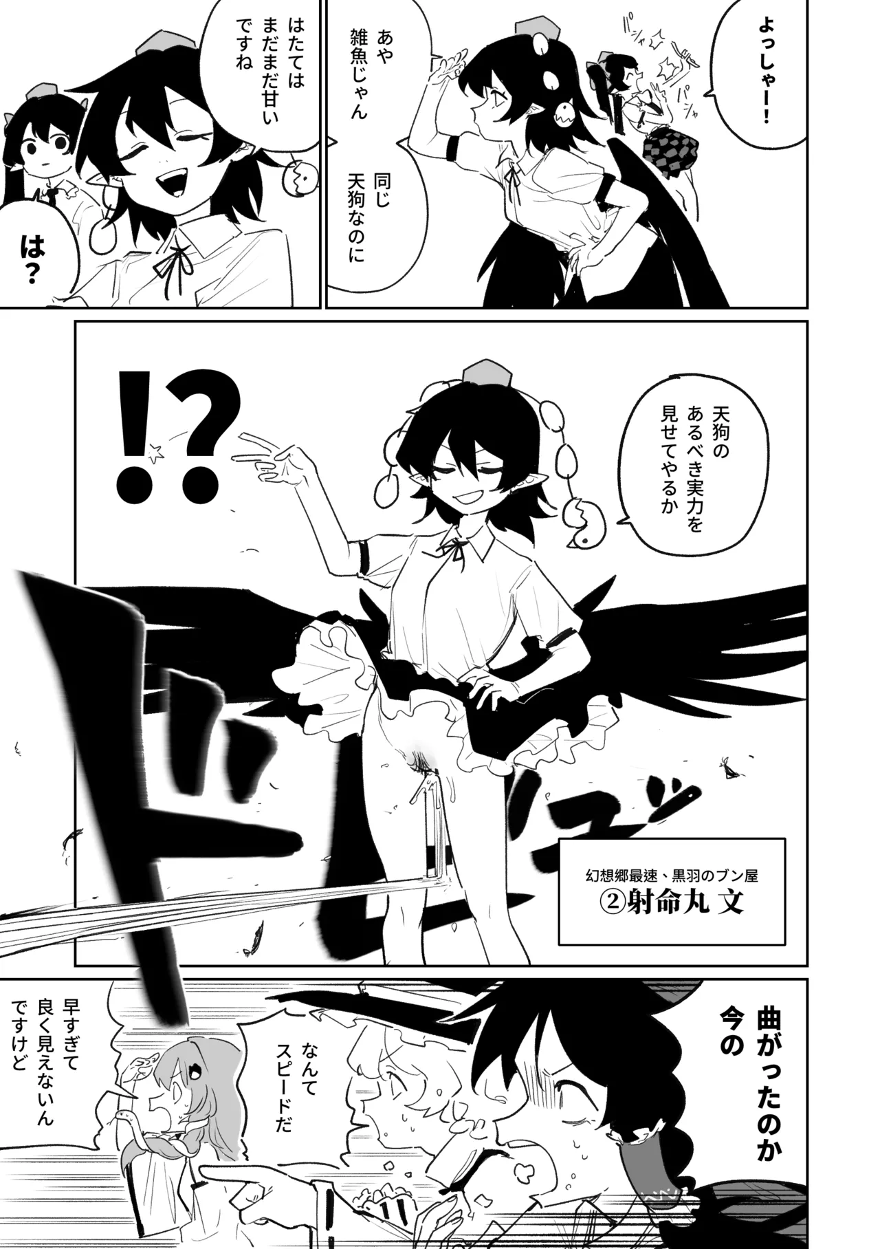 [朝比奈吉利] 産卵フィールド競技会 (東方Project) image number 3