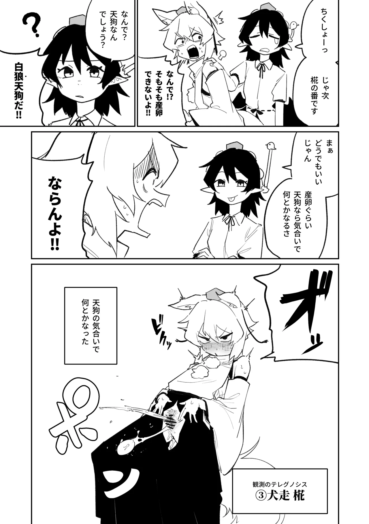 [朝比奈吉利] 産卵フィールド競技会 (東方Project) image number 5