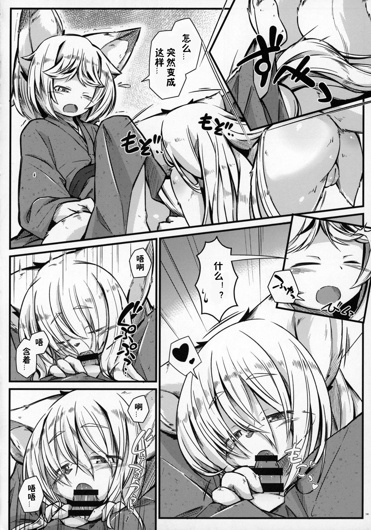 (C90) [Nyawatesou (Yukiharu)] Kemoi Vol. 13  [Chinese] [zc2333] numero di immagine  5