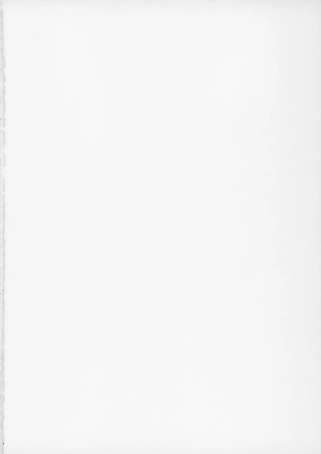 (C107)[Sakamoto Shouten (Nishizawa Mizuki)] Gal to Meccha Namahame Nakadashi Ecchi Suru Hanashi #5 (Original) 画像番号 54