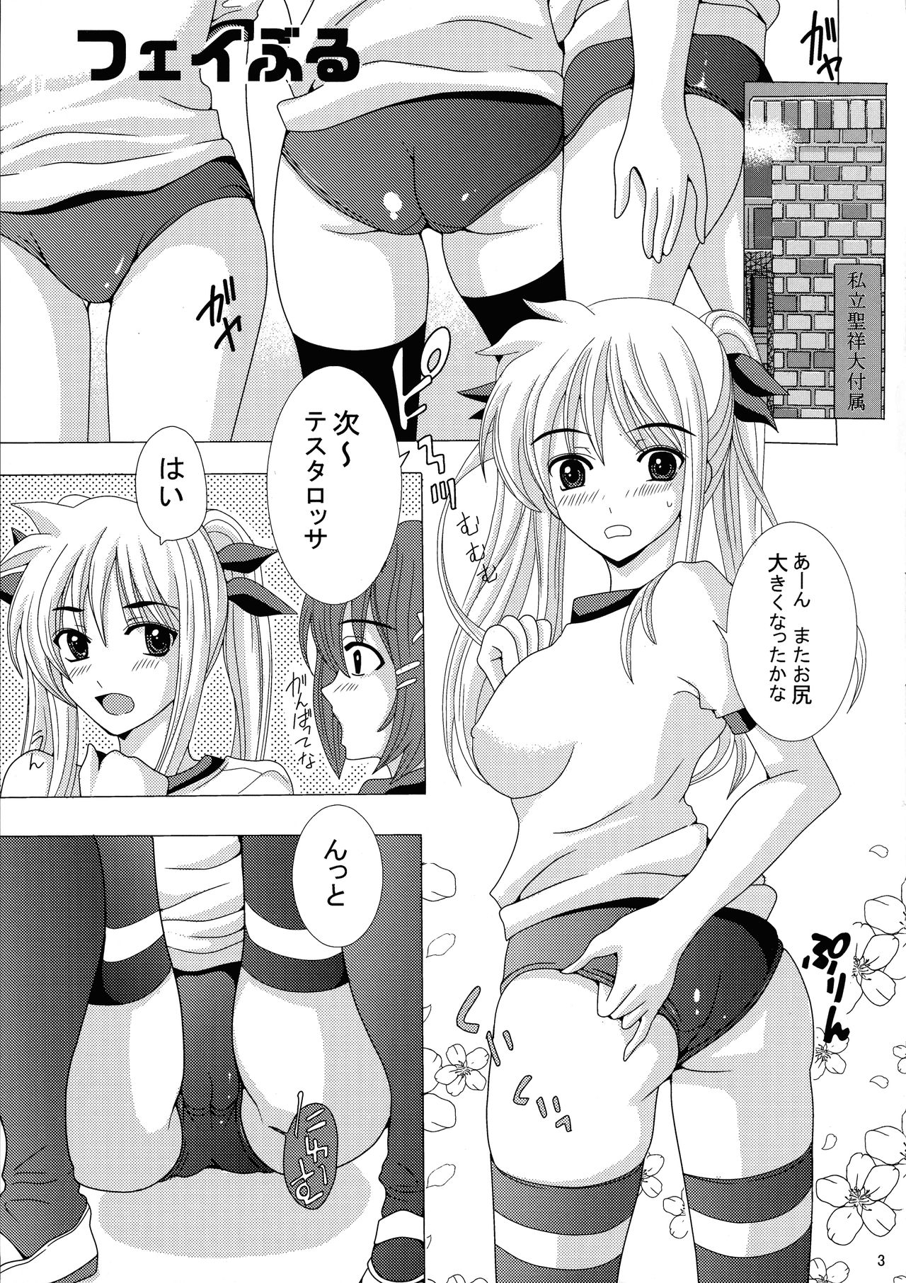 (C75) [Rivajima (Yajima Index)] Nanoburu (Magical Girl Lyrical Nanoha) 画像番号 3