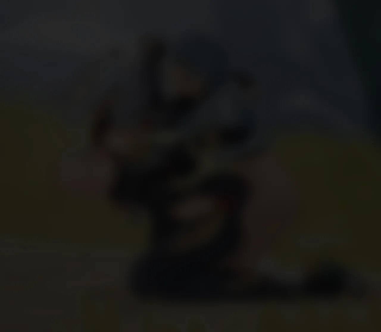 [HVVT] 申鹤篇带小作文 image number 11