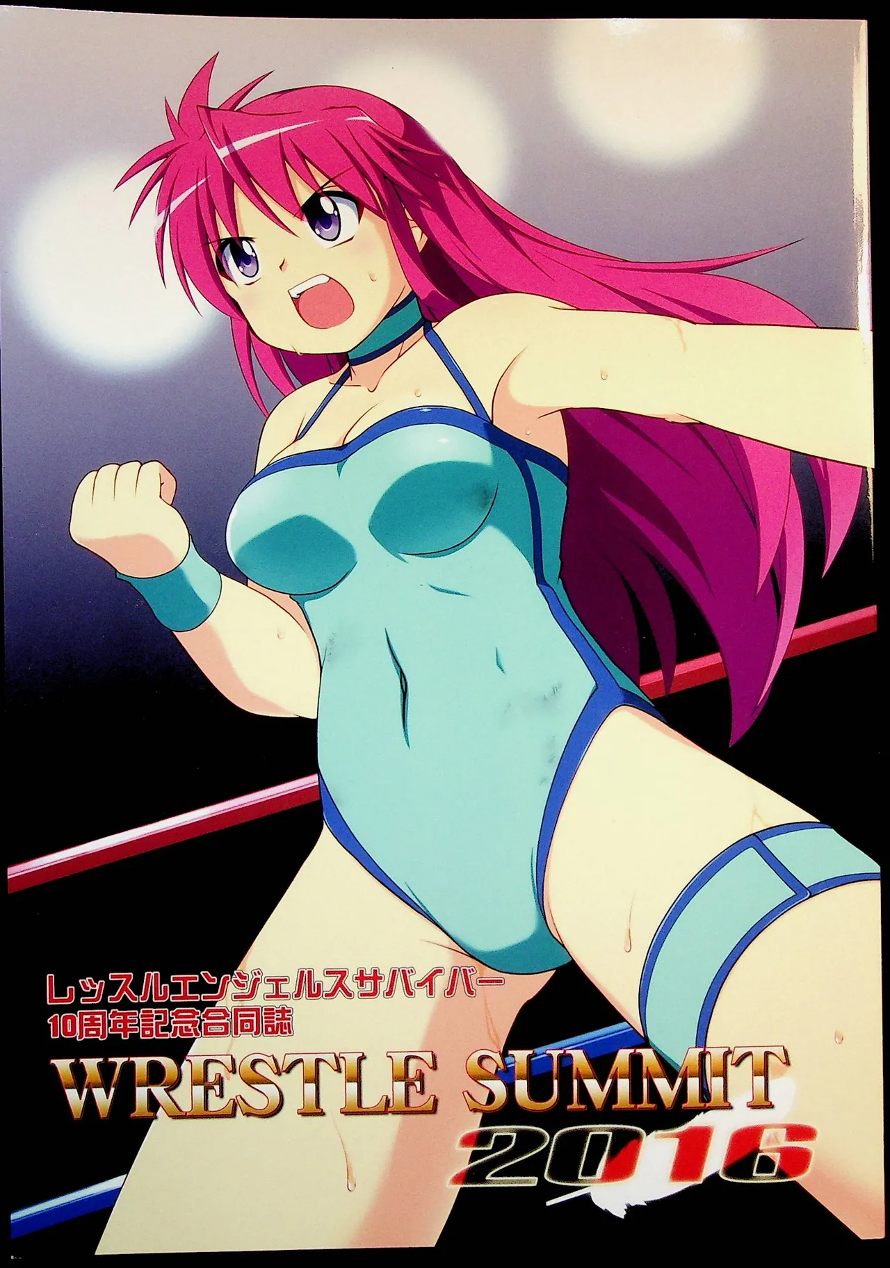 Wrestle Summit 2016 numero di immagine  1