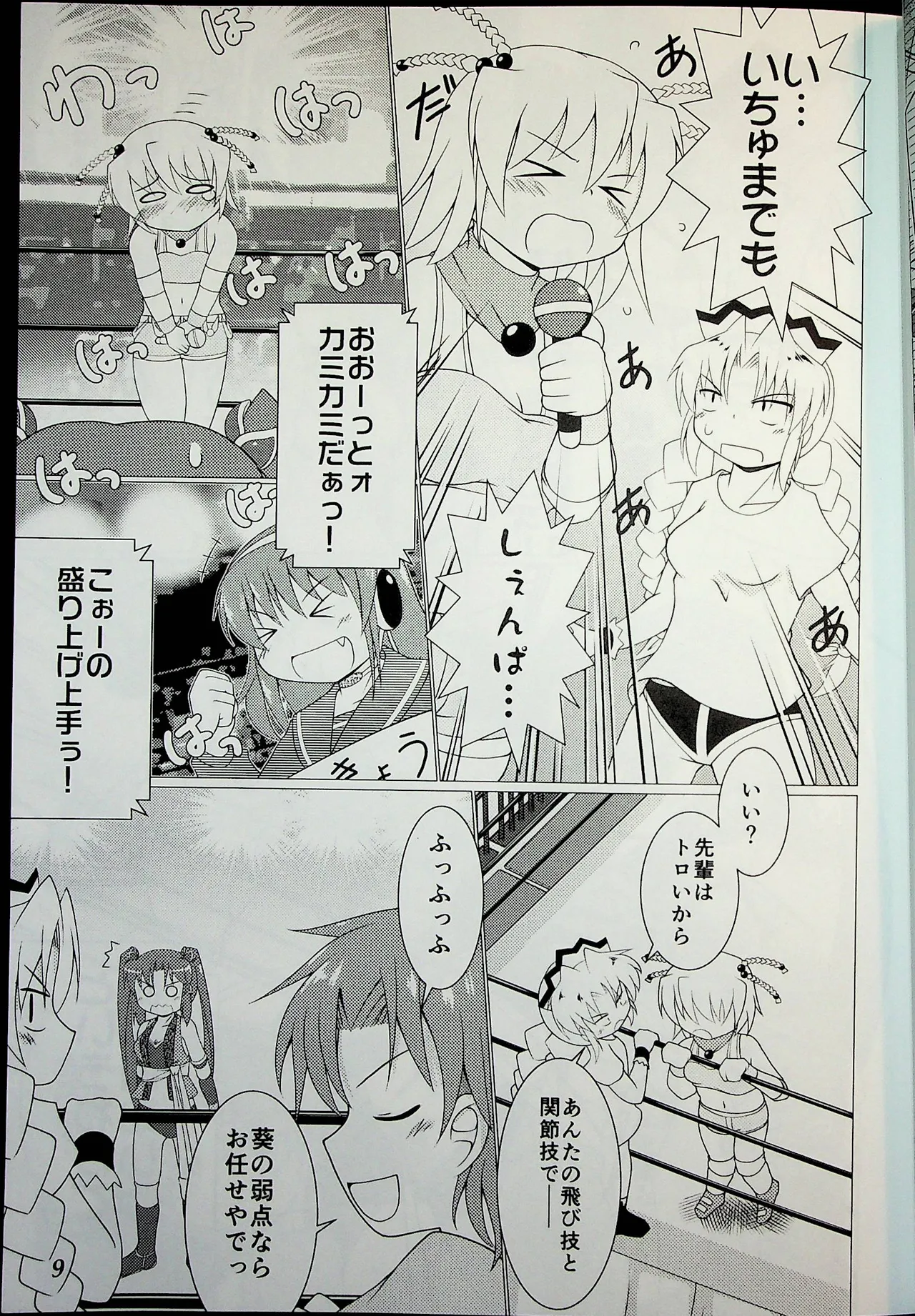 Wrestle Summit 2016 numero di immagine  8