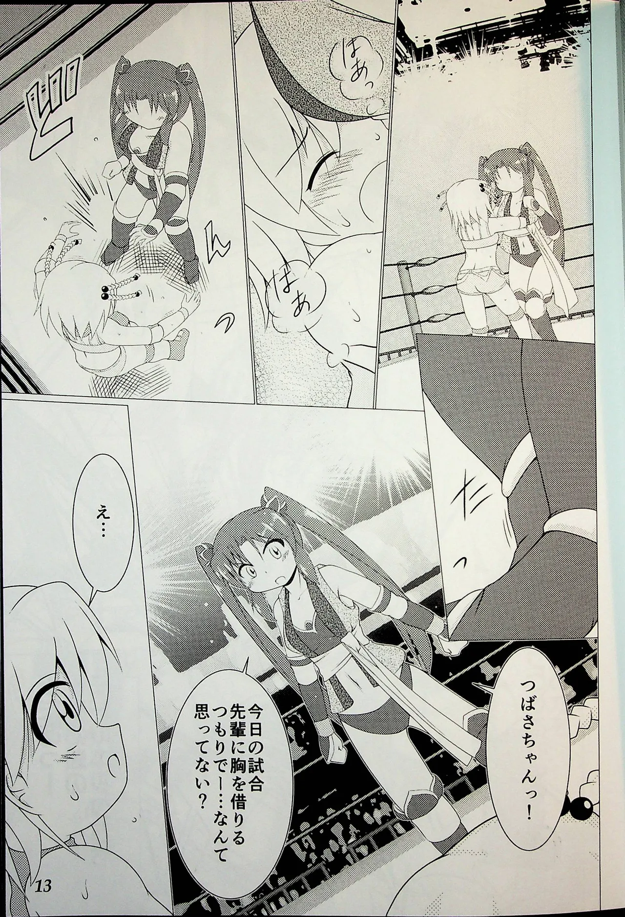 Wrestle Summit 2016 numero di immagine  12