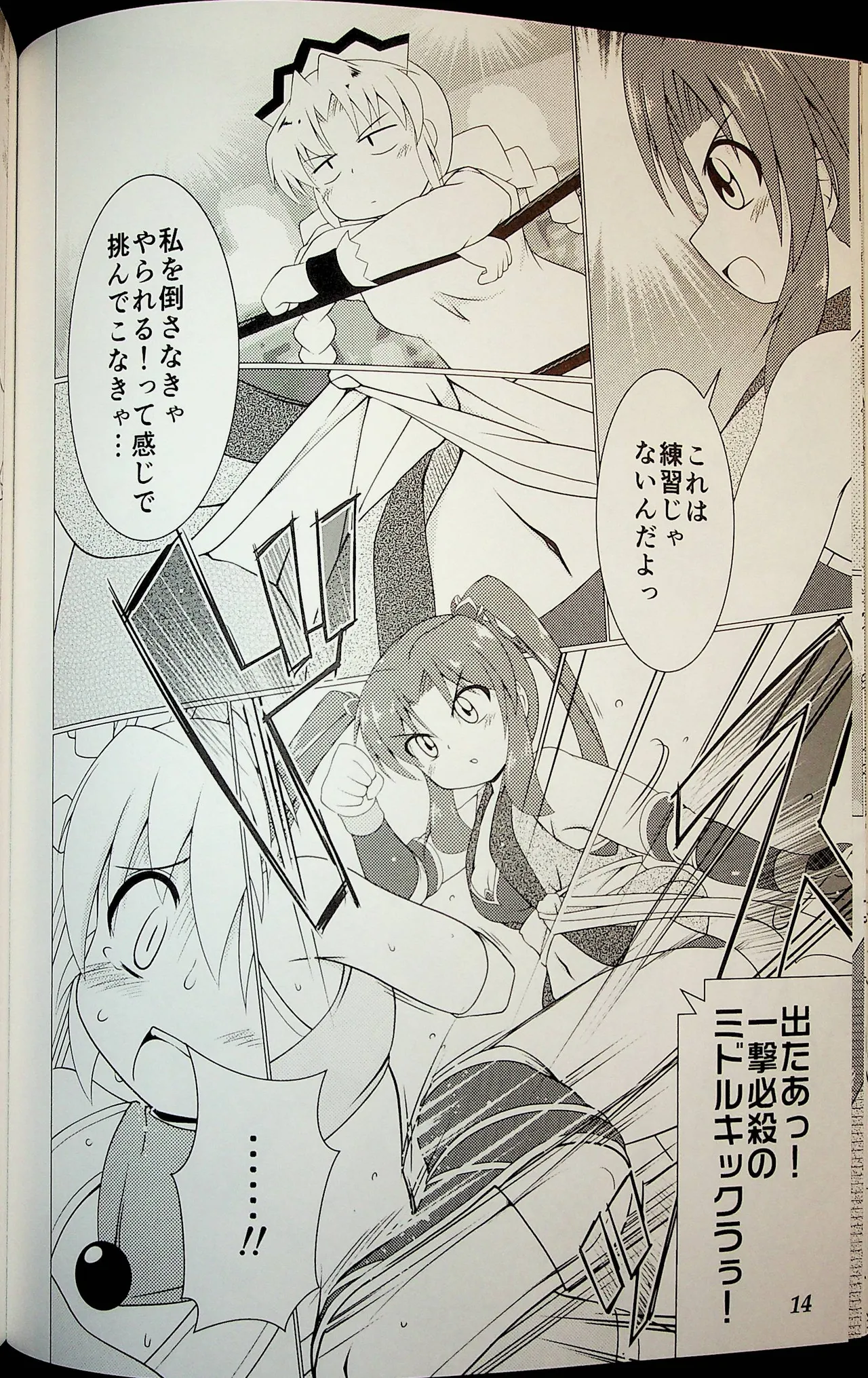 Wrestle Summit 2016 numero di immagine  13