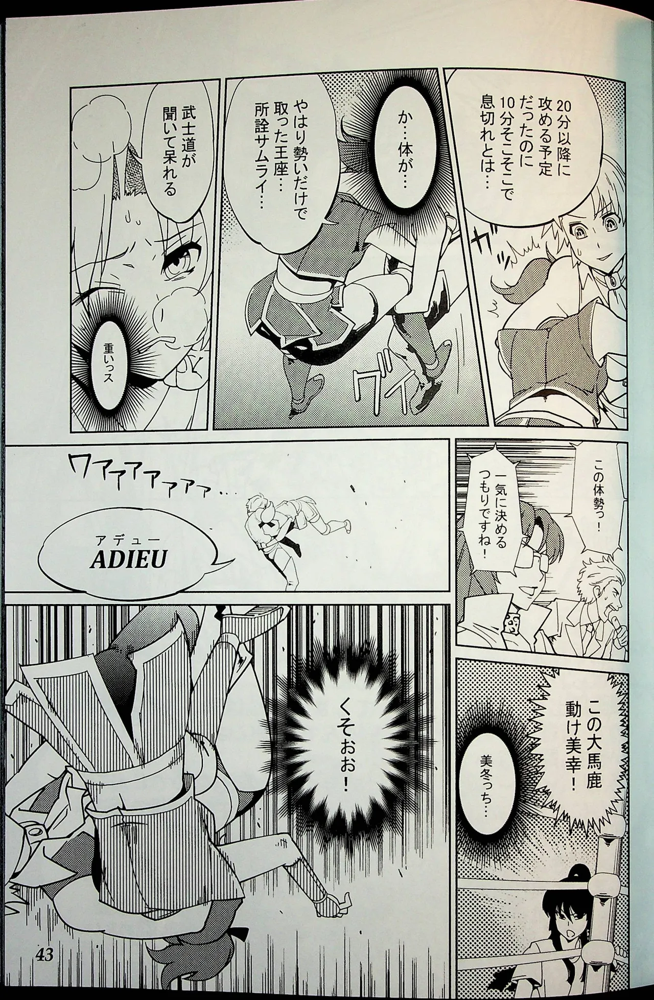 Wrestle Summit 2016 numero di immagine  42