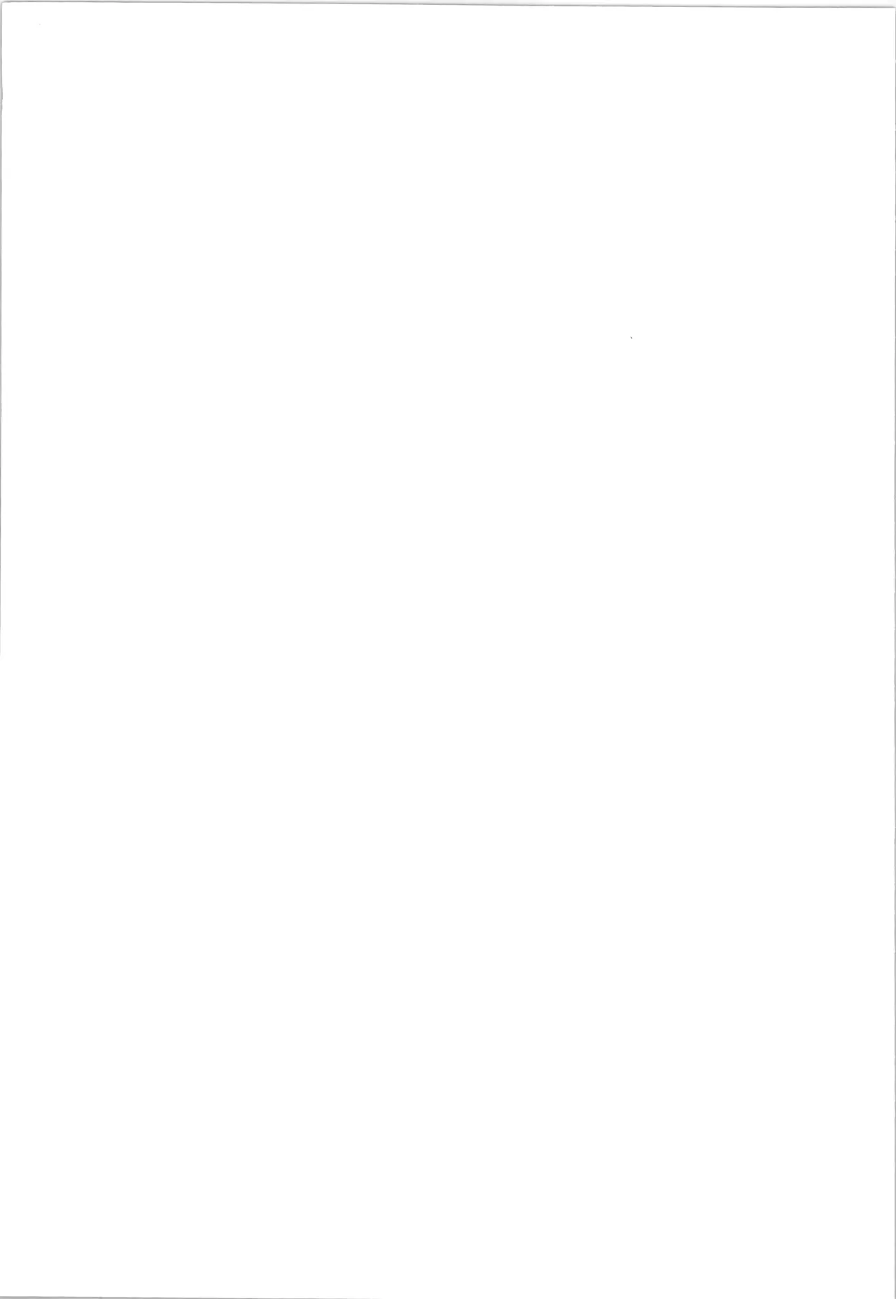 (C53) [アルゴラグニア (巫代凪遠)] 邪道王 (対戦ホットギミック) image number 63