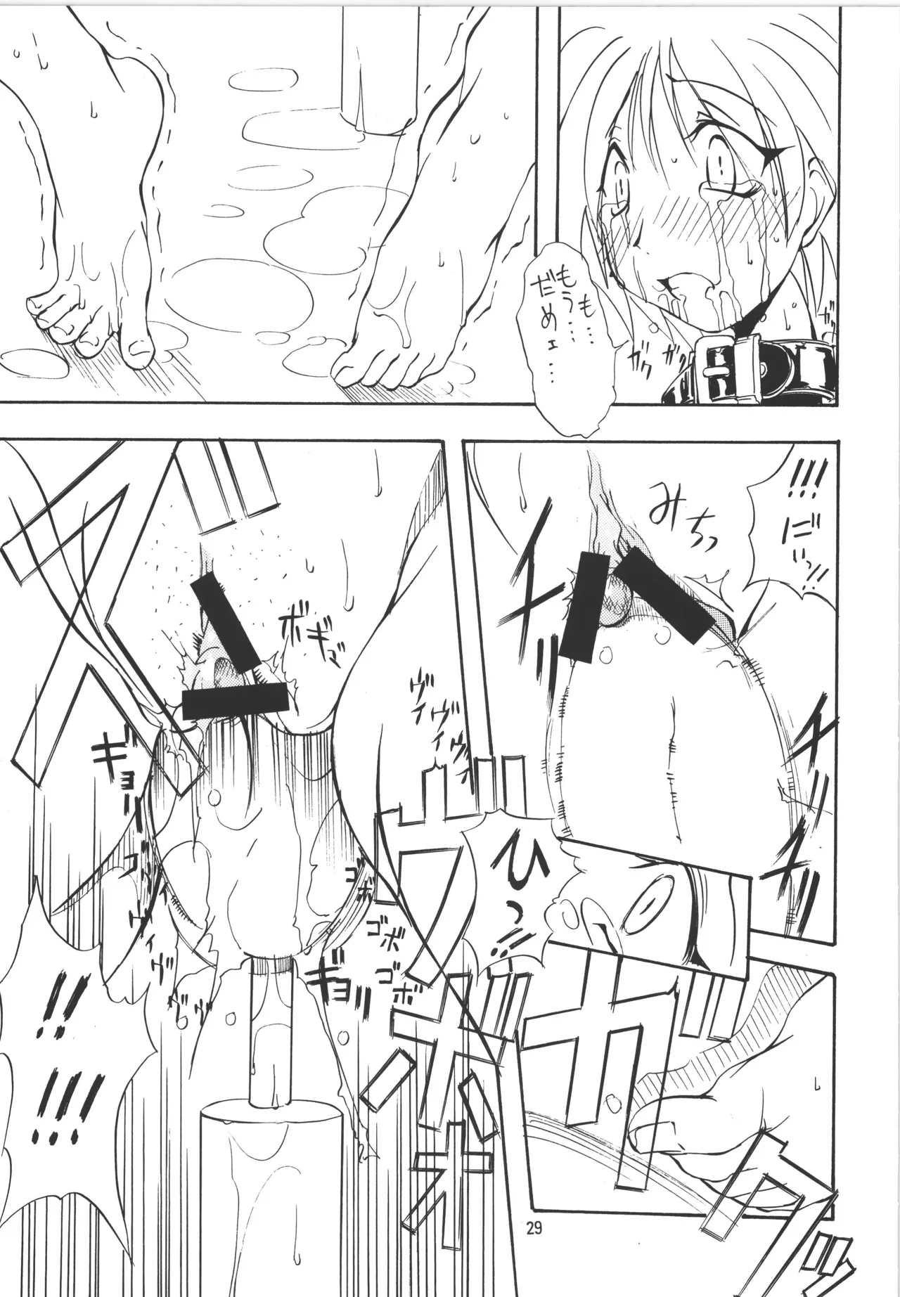 (C56) [アルゴラグニア (巫代凪遠)] 邪道王 (ToHeart) image number 29