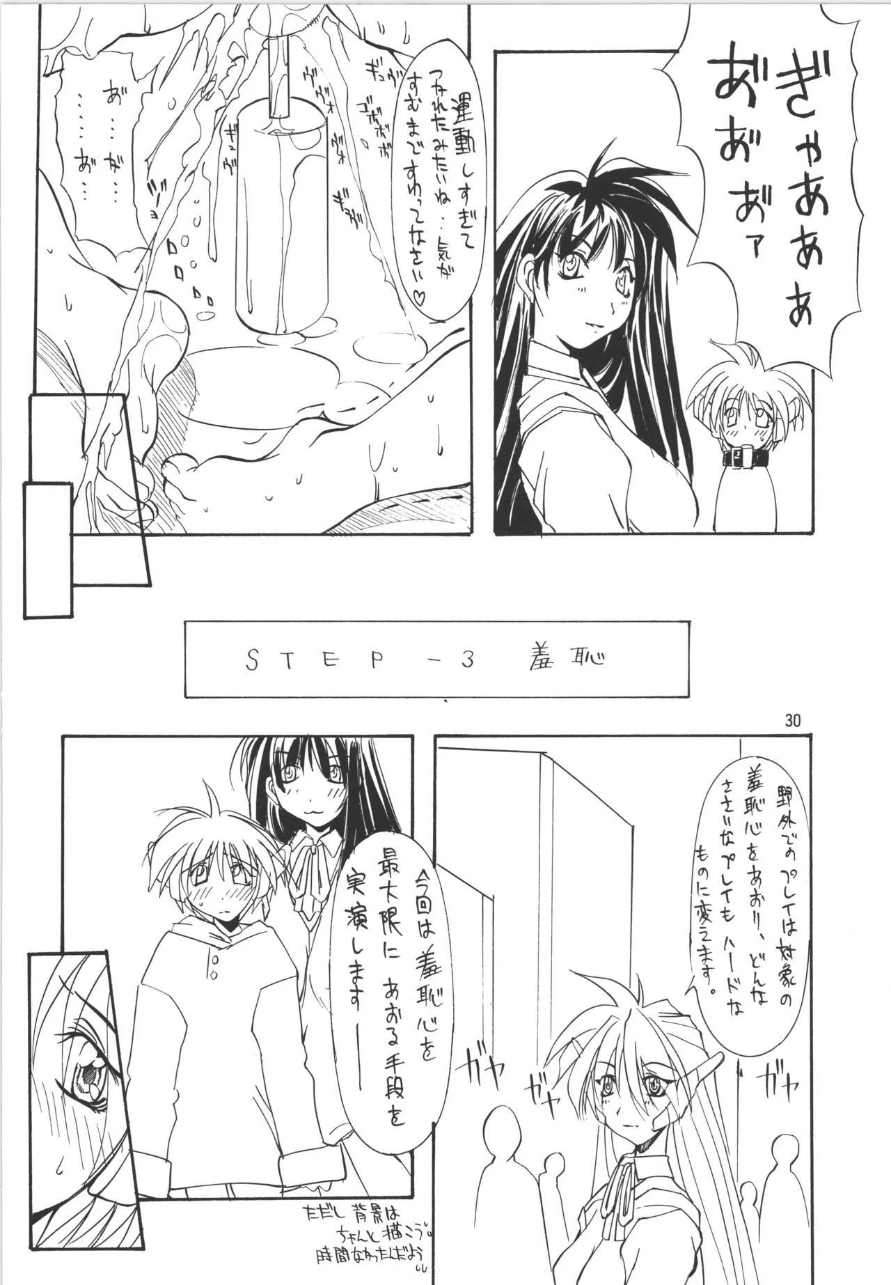 (C56) [アルゴラグニア (巫代凪遠)] 邪道王 (ToHeart) image number 30