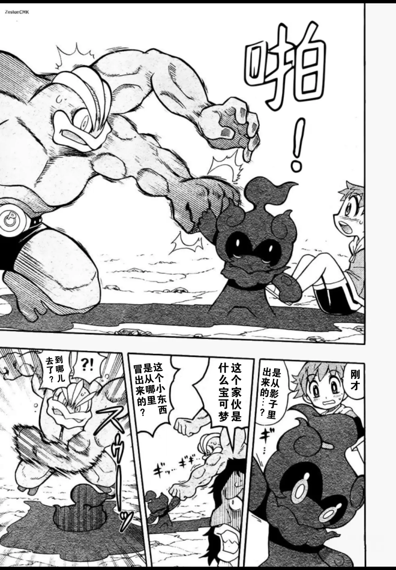 燃烧吧，玛夏多！丨Get Fired Up, Marshadow! [阿龙的个人汉化] image number 6