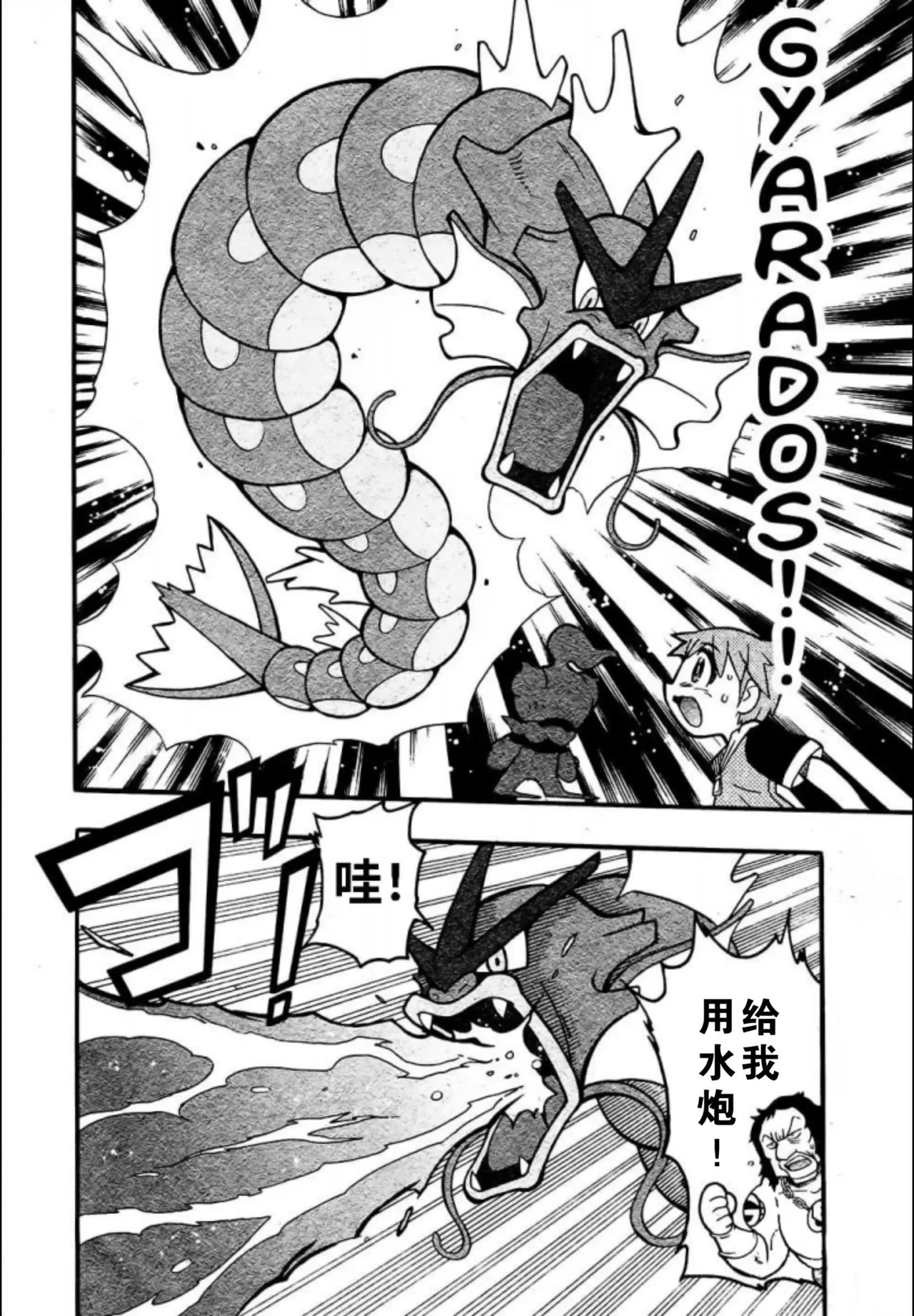 燃烧吧，玛夏多！丨Get Fired Up, Marshadow! [阿龙的个人汉化] image number 21