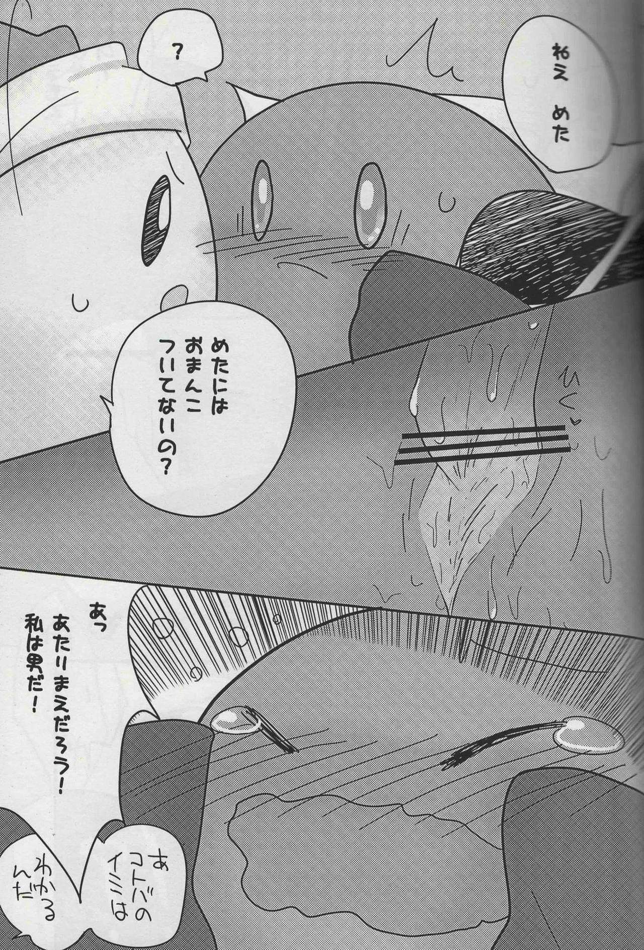 [Irugan] Futafude (Kirby of the Stars) image number 15