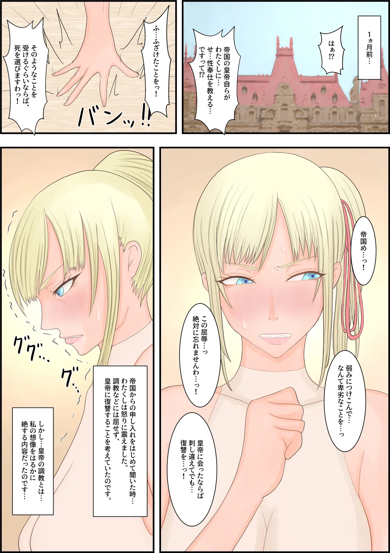 [Hydra777] oukoku katiku ka tyoukyou 图片编号 4