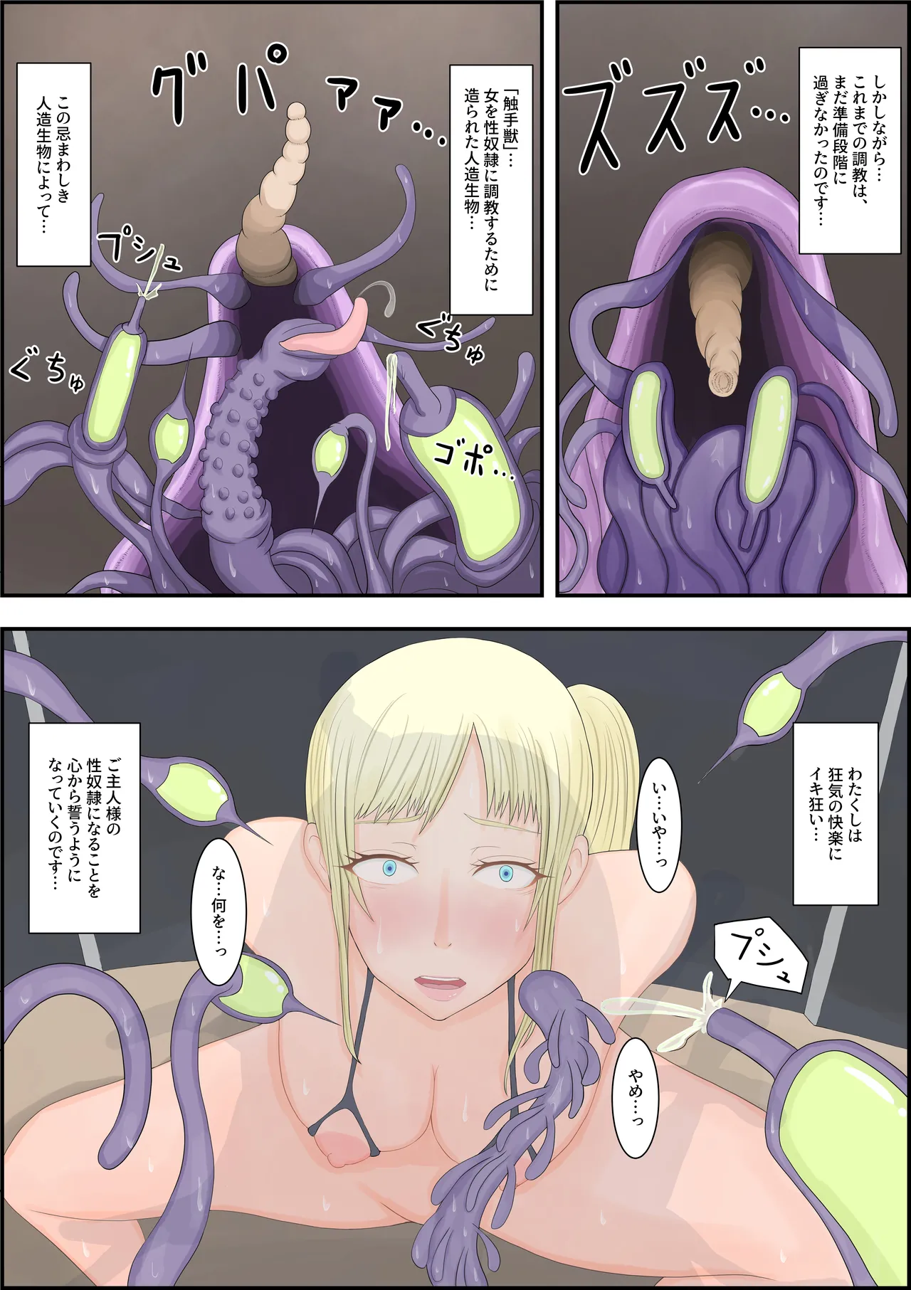 [Hydra777] oukoku katiku ka tyoukyou 图片编号 8